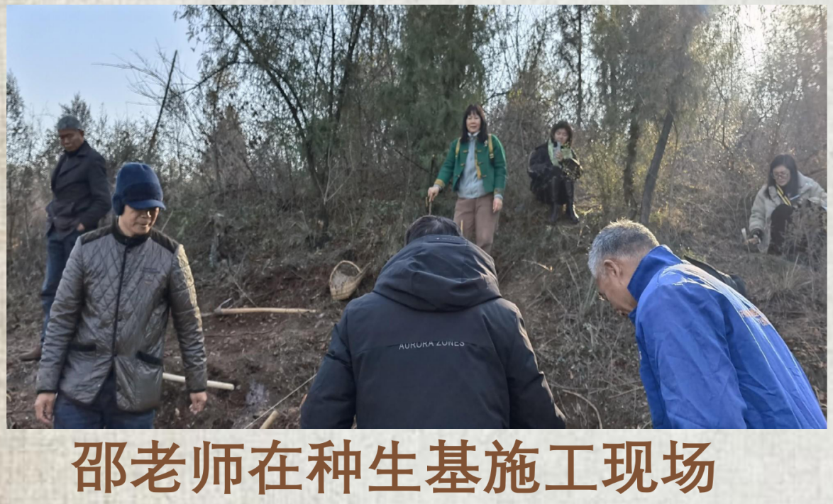 经商平淡，种生基登顶行业龙头