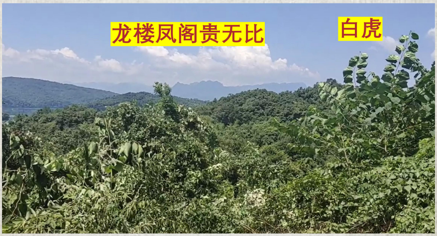 案例图片 3