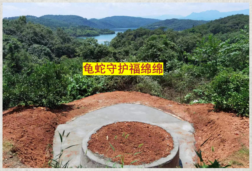 案例图片 4