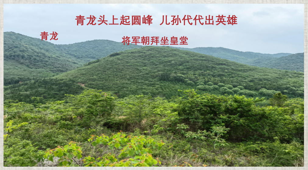 为孩子种生基，旺运胜过买豪车