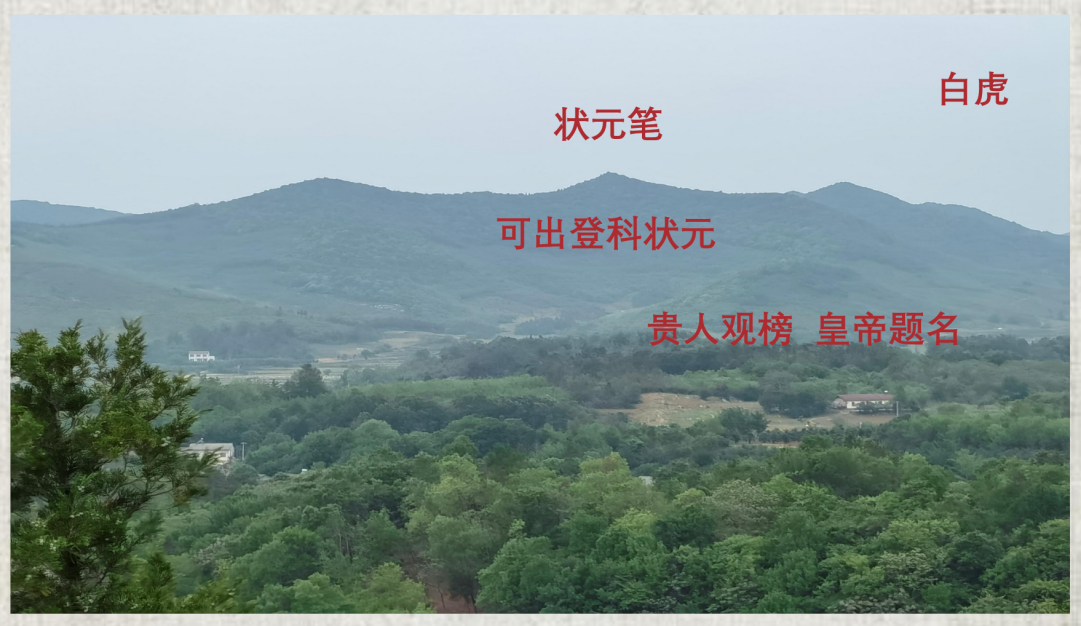 案例图片 2
