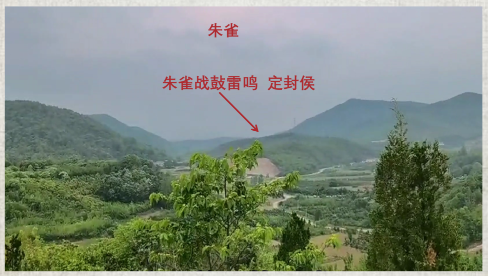 案例图片 3