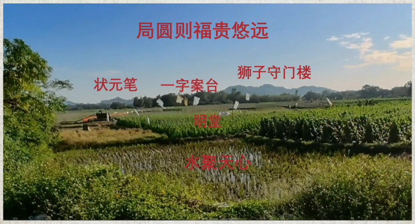 案例图片 3